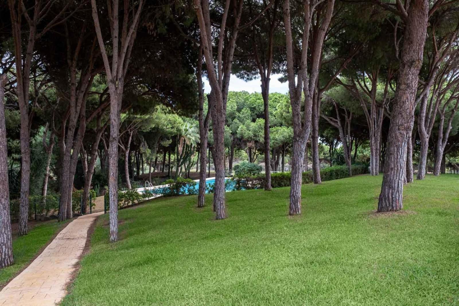 Apartment Cabopino Golf Feelings By Alfresco