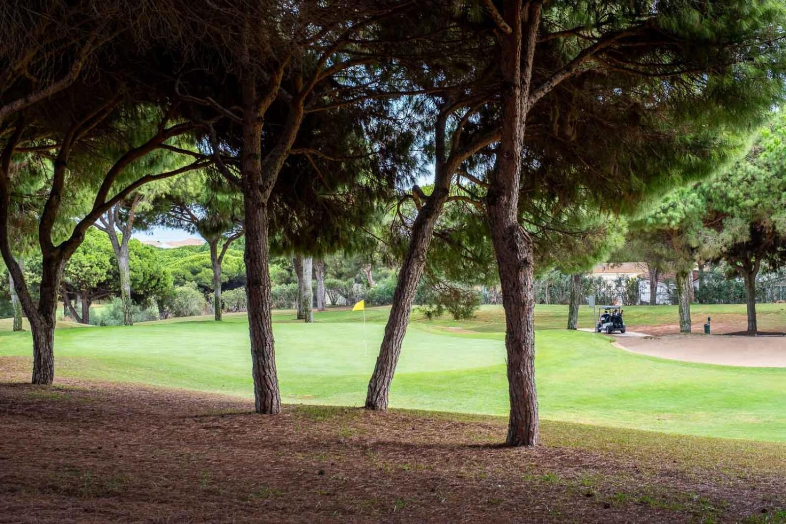 Cabopino Golf Feelings By Alfresco Apartment Marbella